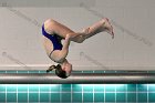 Maddy Morrison  Wheaton College Women's diver Maddy Morrison competes against Babson College, January 11, 2020. - Photo By: KEITH NORDSTROM : Wheaton, Swimming, Maddy Morrison